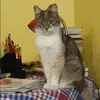 Отзыв от Софья Круглова